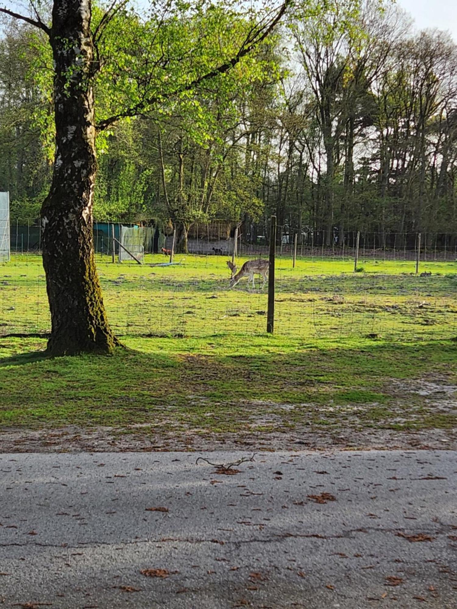 Bungalow Willerby Maasmechelen Dış mekan fotoğraf